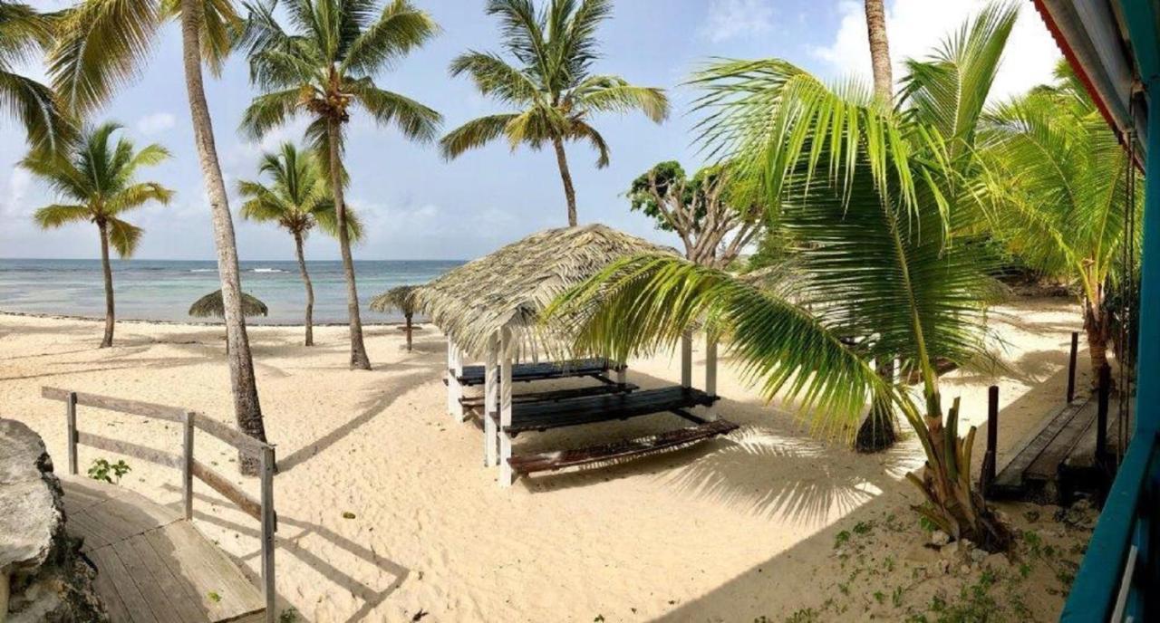 Studio Mojito Vue Mer,Piscine Avec Cuve Eau Et Acces Plage Et Piscine Anse Des Rochers سانت فرانسوا المظهر الخارجي الصورة
