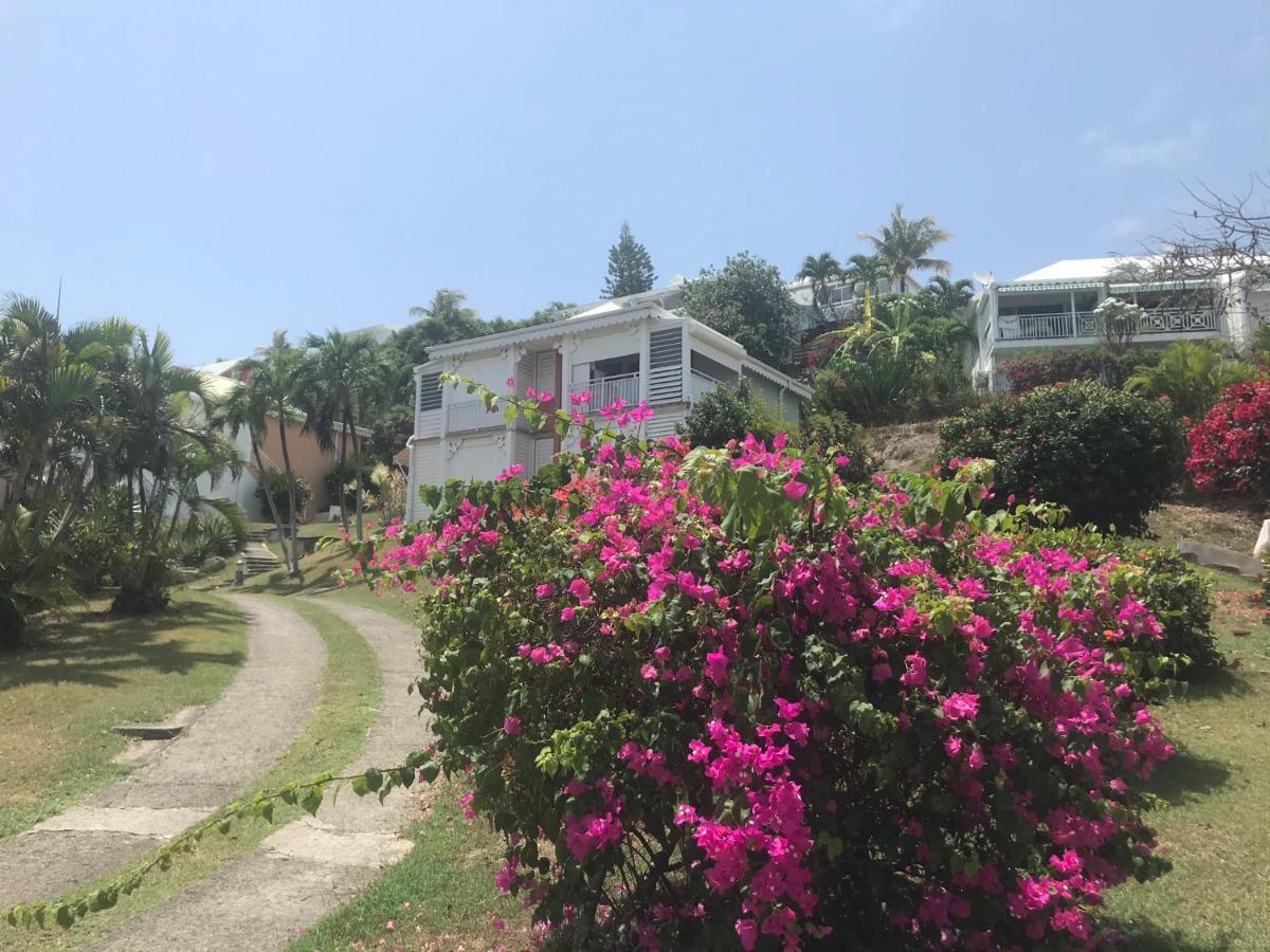 Studio Mojito Vue Mer,Piscine Avec Cuve Eau Et Acces Plage Et Piscine Anse Des Rochers سانت فرانسوا المظهر الخارجي الصورة