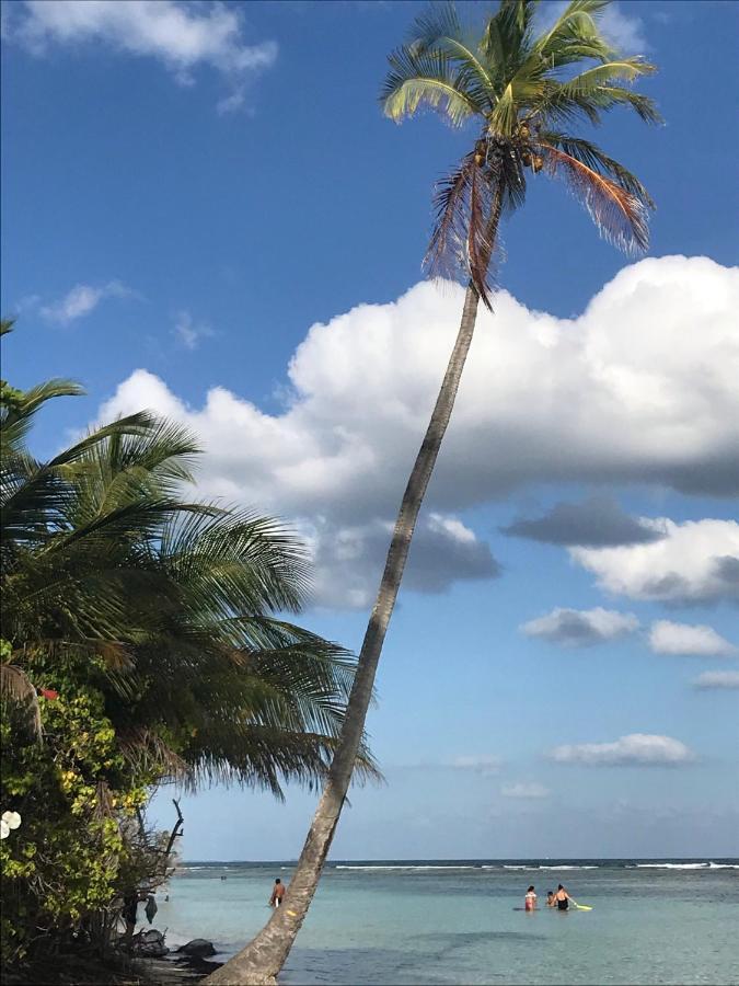 Studio Mojito Vue Mer,Piscine Avec Cuve Eau Et Acces Plage Et Piscine Anse Des Rochers سانت فرانسوا المظهر الخارجي الصورة