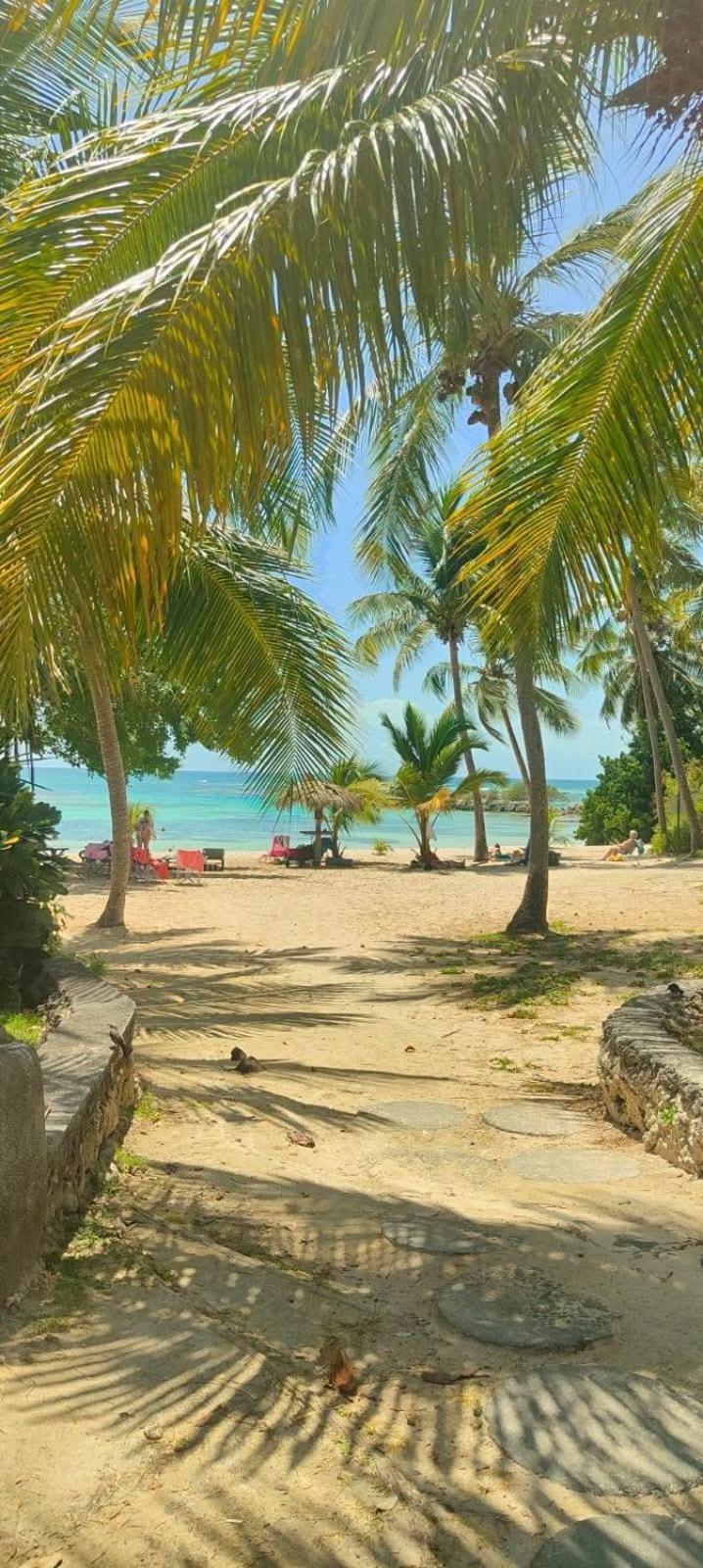 Studio Mojito Vue Mer,Piscine Avec Cuve Eau Et Acces Plage Et Piscine Anse Des Rochers سانت فرانسوا المظهر الخارجي الصورة
